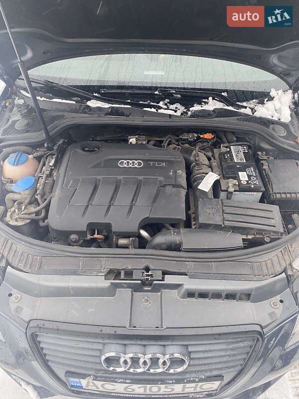Хетчбек Audi A3 2008 в Нововолинську