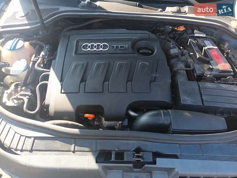 Хэтчбек Audi A3 2010 в Гадяче