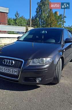 Хэтчбек Audi A3 2007 в Шумске