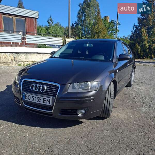 Хэтчбек Audi A3 2007 в Шумске