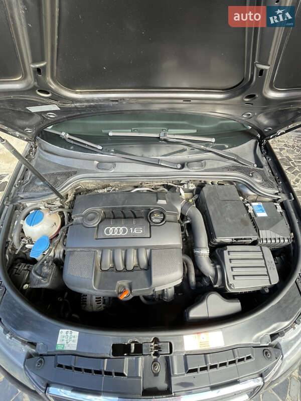 Хэтчбек Audi A3 2004 в Ужгороде фото 31 Хэтчбек Audi A3 2004 в Ужгороде