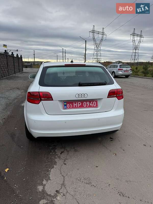 Хэтчбек Audi A3 2008 в Ромнах фото 12 Хэтчбек Audi A3 2008 в Ромнах