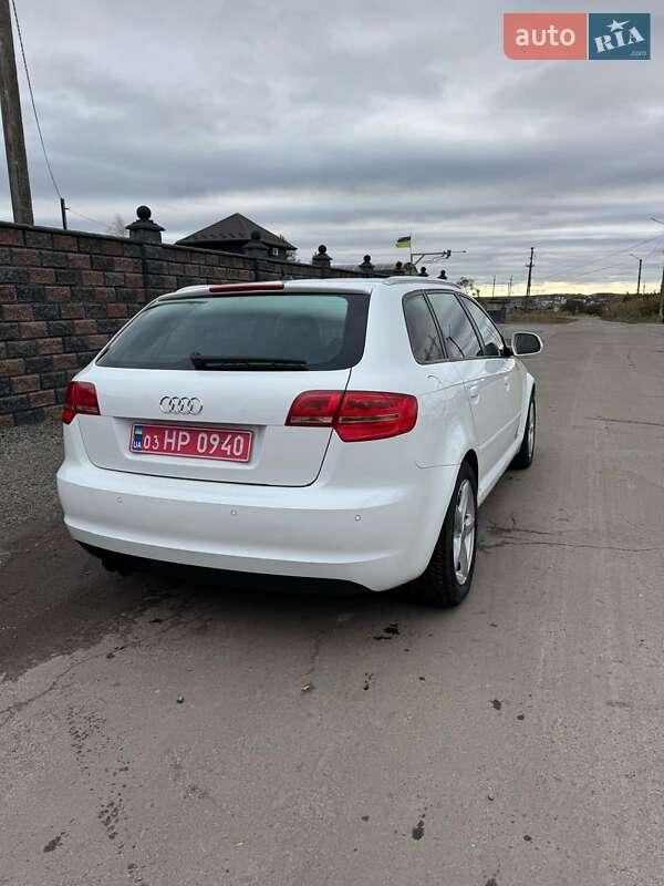 Хэтчбек Audi A3 2008 в Ромнах фото 14 Хэтчбек Audi A3 2008 в Ромнах