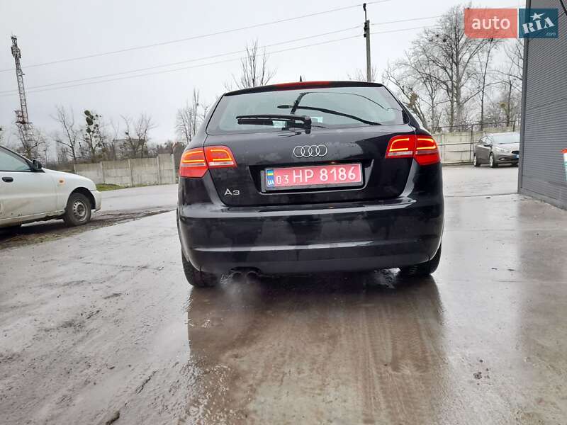 Хэтчбек Audi A3 2009 в Новой Водолаге фото 23 Хэтчбек Audi A3 2009 в Новой Водолаге