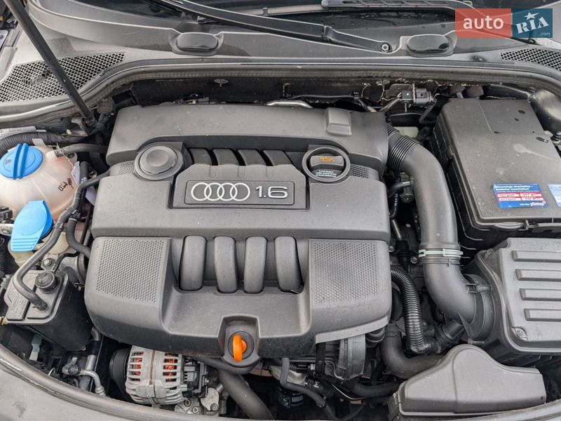 Хетчбек Audi A3 2004 в Івано-Франківську фото 30 Хетчбек Audi A3 2004 в Івано-Франківську