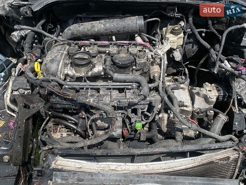 Хэтчбек Audi A3 2009 в Отынии фото 15 Хэтчбек Audi A3 2009 в Отынии
