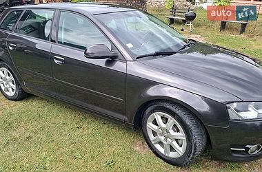 Хетчбек Audi A3 2010 в Верховині