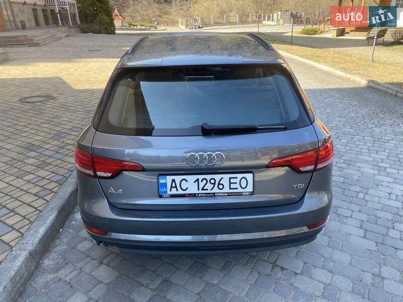 Универсал Audi A4 2015 в Шептицькому