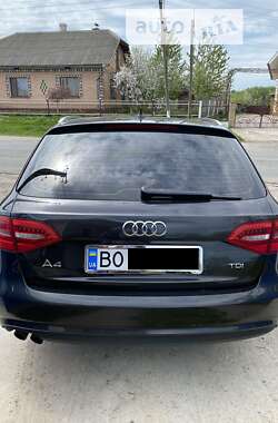 Универсал Audi A4 2013 в Бучаче