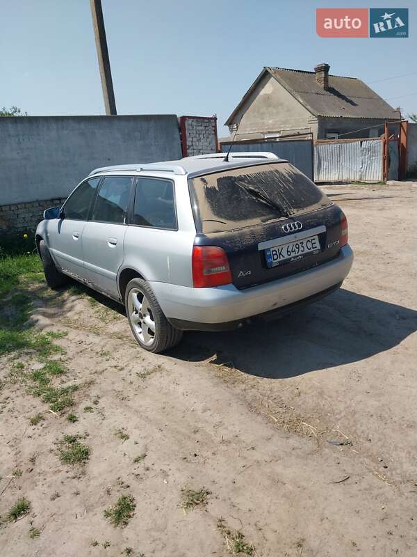 Універсал Audi A4 1996 в Млиніві