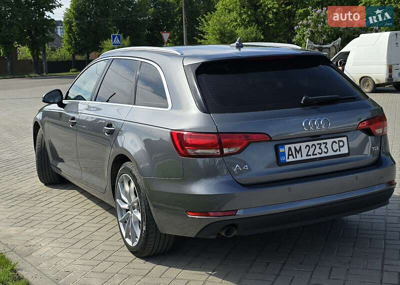Универсал Audi A4 2016 в Житомире