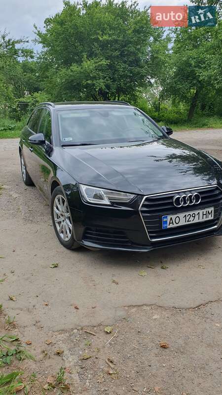 Універсал Audi A4 2016 в Береговому