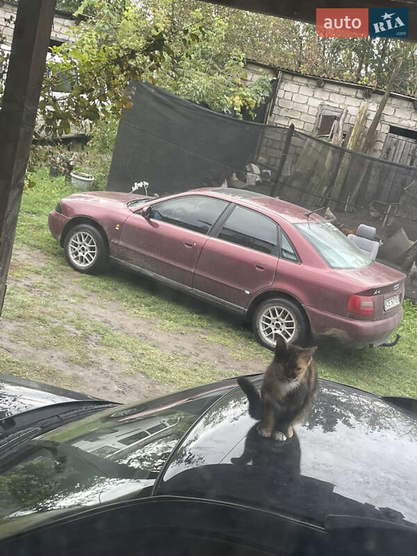 Седан Audi A4 1998 в Кельменцах