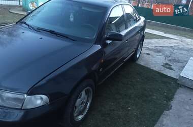Седан Audi A4 1997 в Вижниці