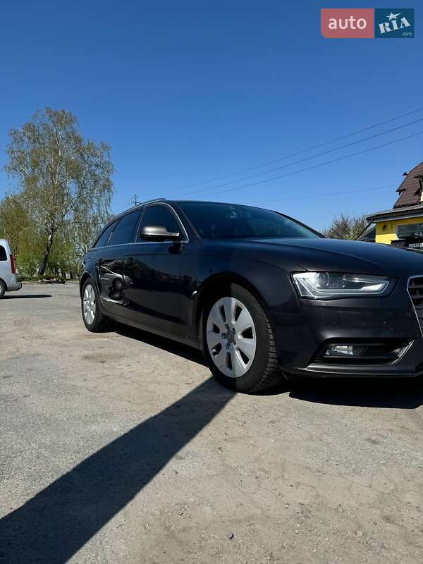 Універсал Audi A4 2015 в Звягелі