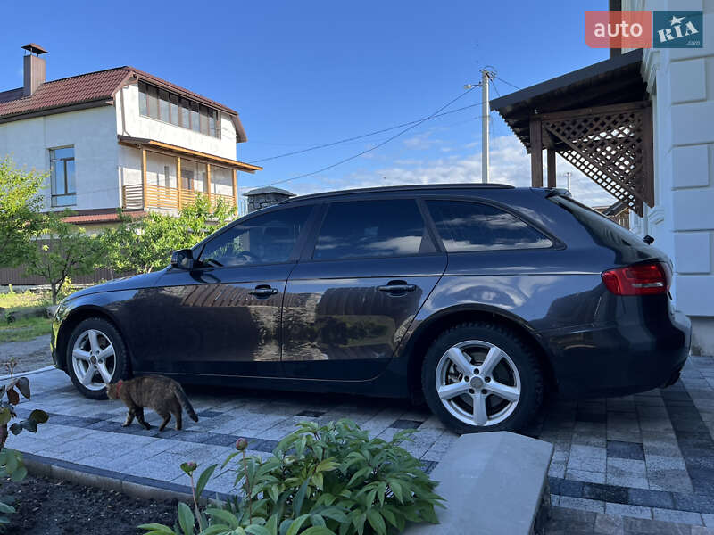 Универсал Audi A4 2009 в Староконстантинове