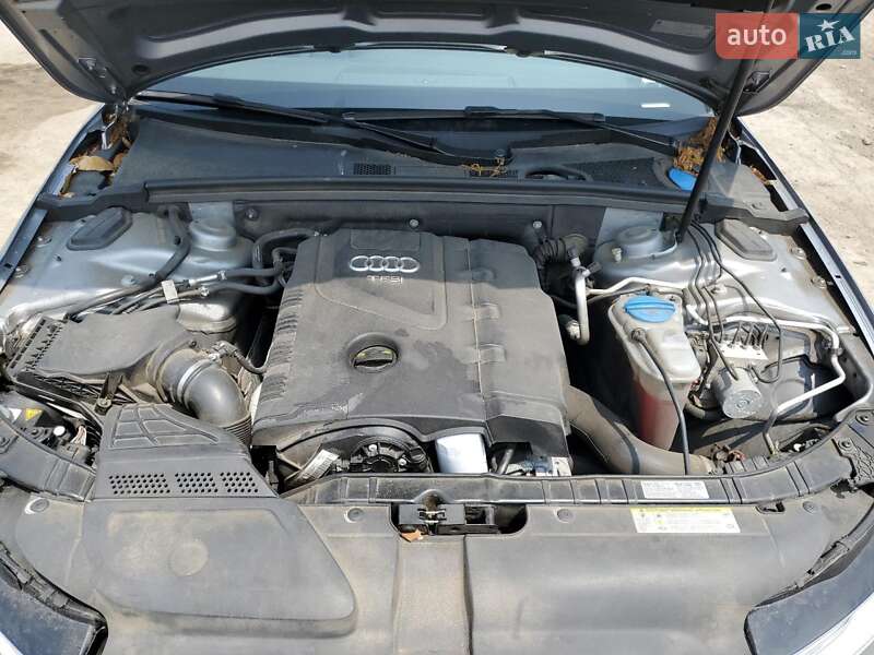 Седан Audi A4 2015 в Львове фото 11 Седан Audi A4 2015 в Львове