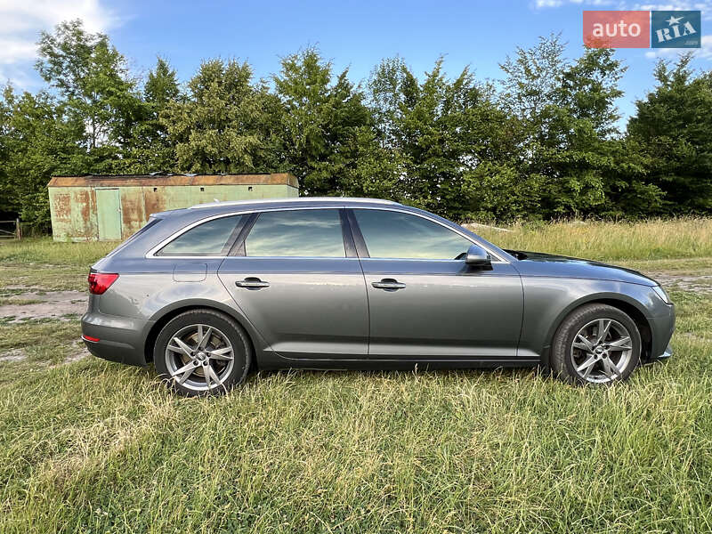 Универсал Audi A4 2016 в Каменке-Бугской