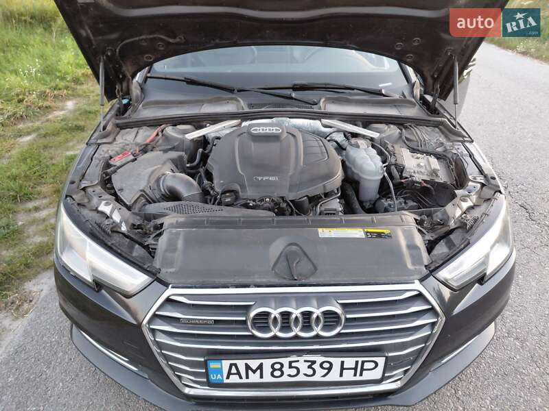 Седан Audi A4 2017 в Звягеле