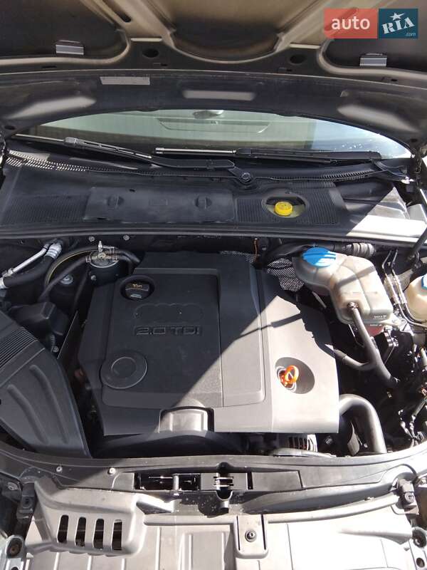 Универсал Audi A4 2005 в Звенигородке