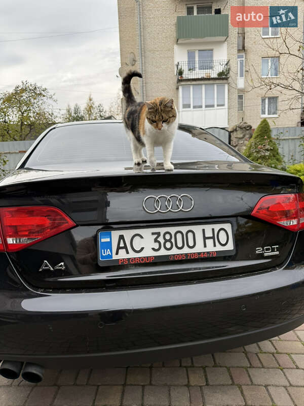 Седан Audi A4 2008 в Луцке