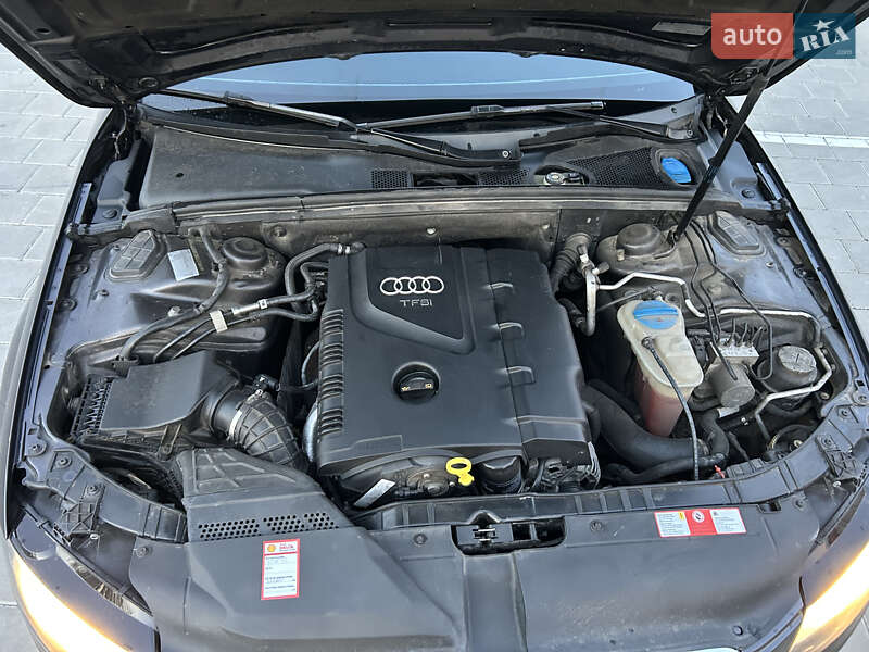 Седан Audi A4 2009 в Черкассах фото 14 Седан Audi A4 2009 в Черкассах