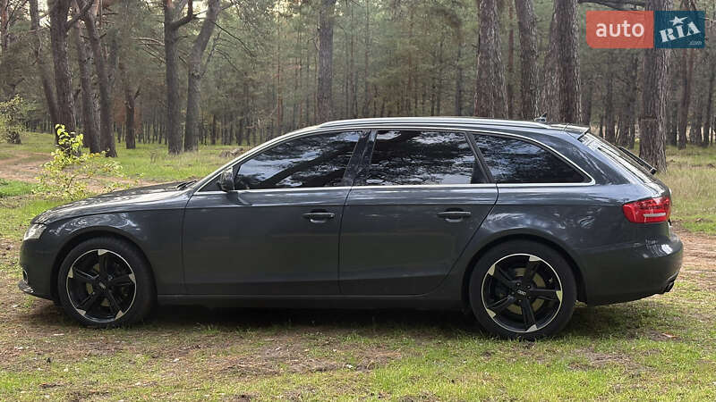 Универсал Audi A4 2008 в Новой Одессе фото 7 Универсал Audi A4 2008 в Новой Одессе