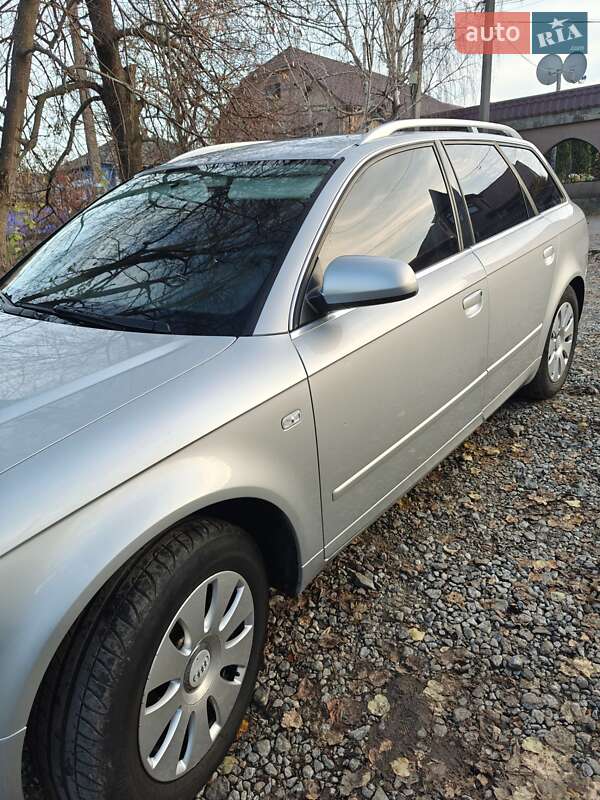 Універсал Audi A4 2005 в Любашівці