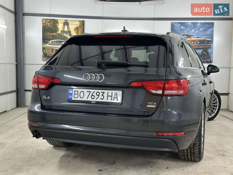 Универсал Audi A4 2016 в Дрогобыче