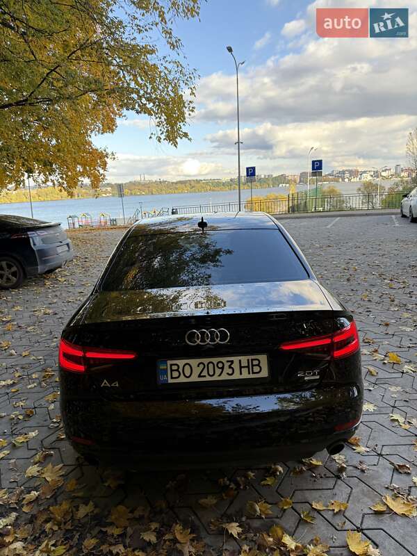 2016 Audi A4, VIN WAUGMAF48HN057013:plate — фото 1 (autoria)
