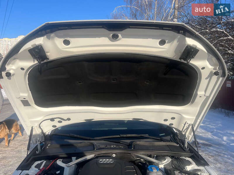 Седан Audi A4 2017 в Киеве фото 22 Седан Audi A4 2017 в Киеве