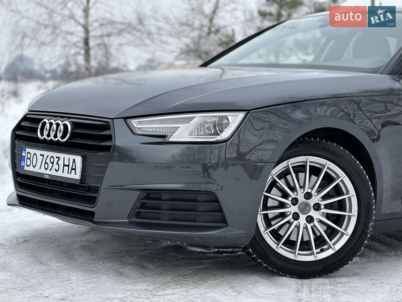 Універсал Audi A4 2016 в Дрогобичі