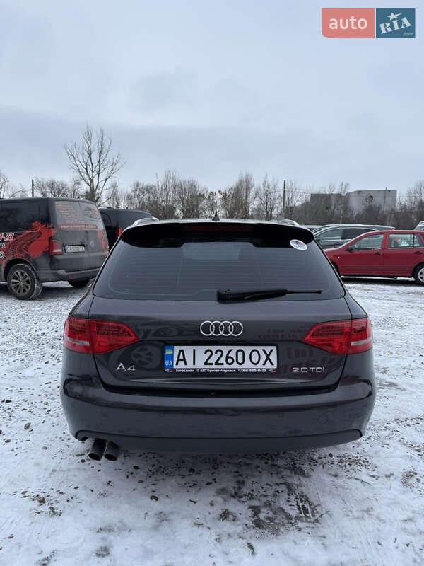 Универсал Audi A4 2010 в Черкассах