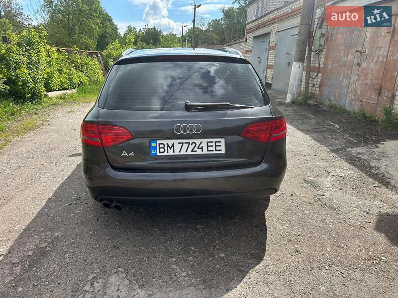 Універсал Audi A4 2009 в Сумах