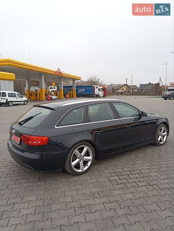 2010 Audi A4, VIN WAUZZZ8K0AA004453:plate — фото 1 (autoria)