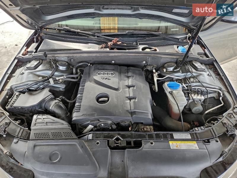 Седан Audi A4 2015 в Львове фото 11 Седан Audi A4 2015 в Львове