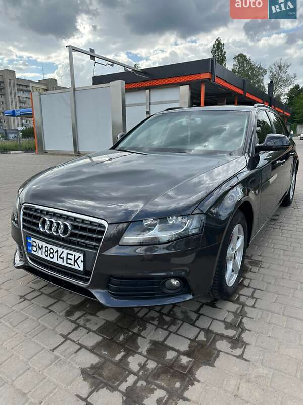 2008 Audi A4, VIN WAUZZZ8K89A053590:plate — фото 1 (autoria)