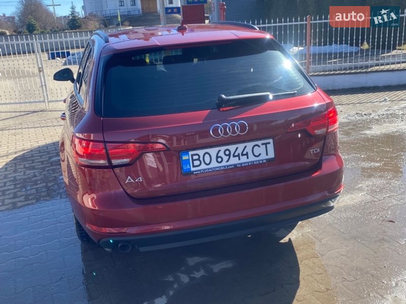 Универсал Audi A4 2016 в Бучаче