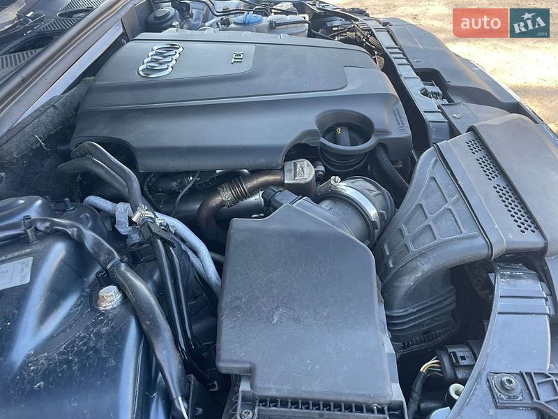 Універсал Audi A4 2009 в Кролевці