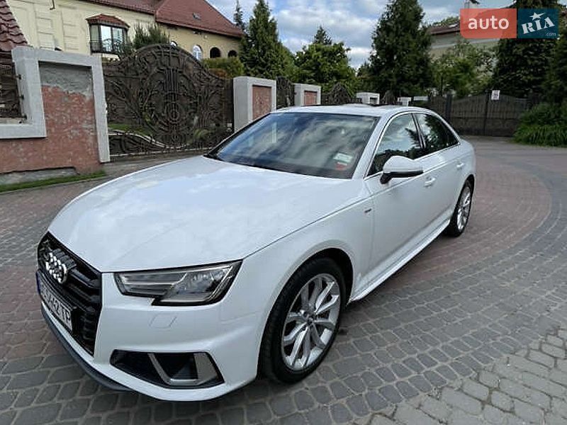 2019 Audi A4, VIN WAUDNAF41KN017038:plate — фото 1 (autoria)