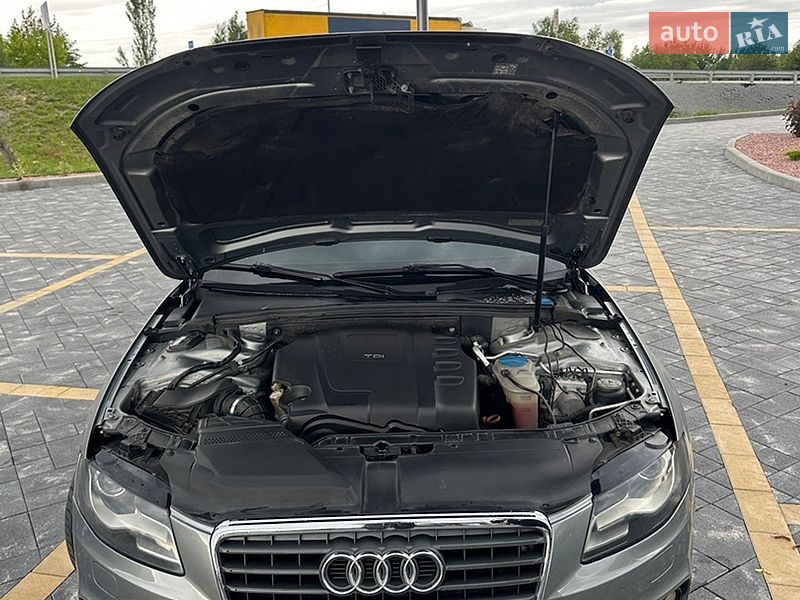 Седан Audi A4 2008 в Звягелі