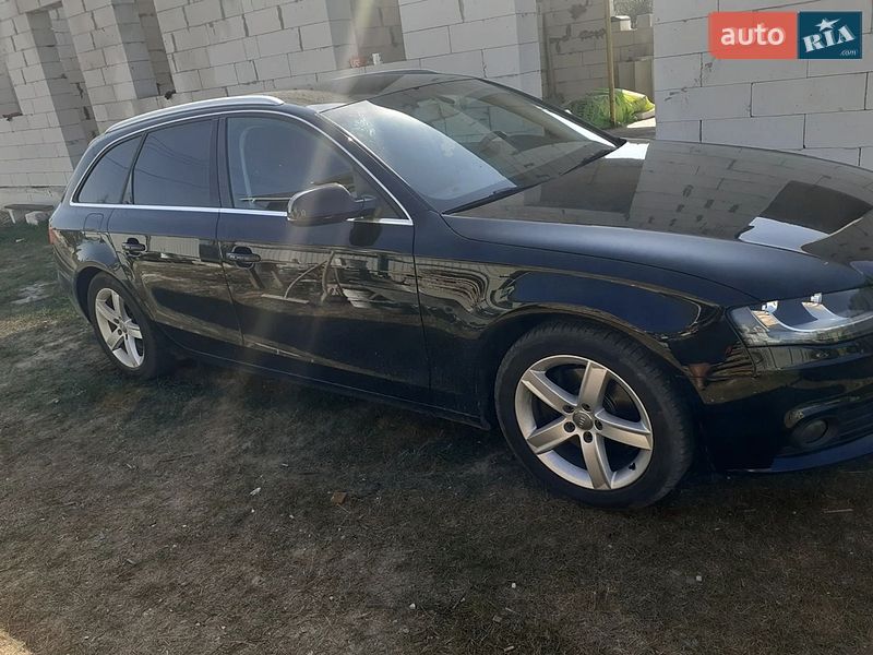 2009 Audi A4, VIN WAUZZZ8KXAA007439:plate — фото 1 (autoria)