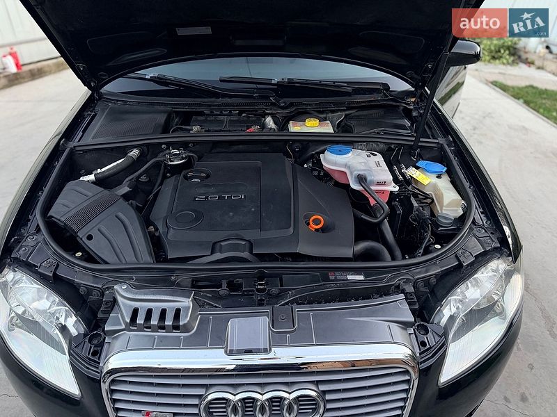Універсал Audi A4 2008 в Бердичеві