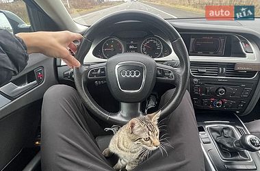 Универсал Audi A4 2010 в Луцке