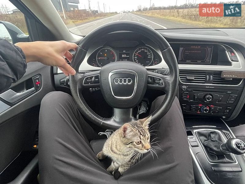 Универсал Audi A4 2010 в Луцке