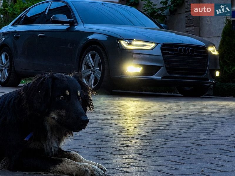 Седан Audi A4 2014 в Хмельницком Седан Audi A4 2014 в Хмельницком