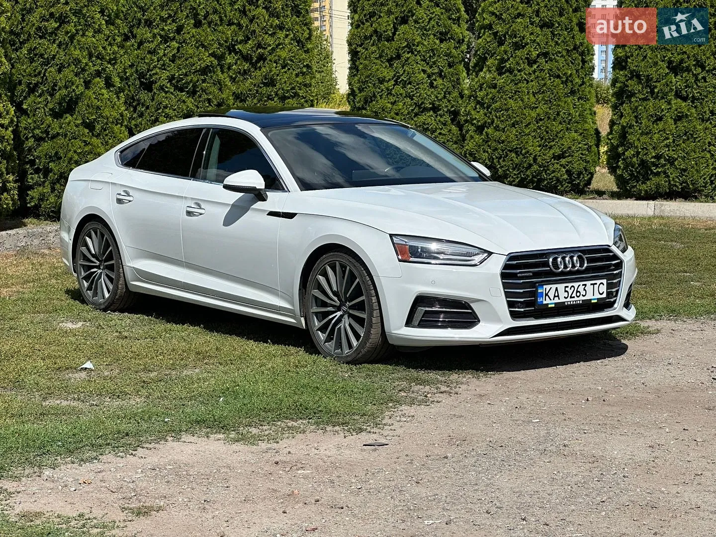 2019 Audi A5 - фото 1