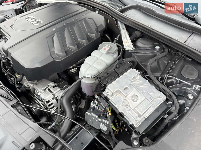 Ліфтбек Audi A5 2024 в Переяславі