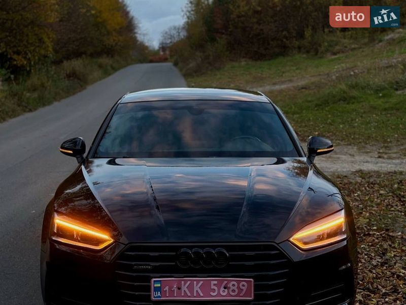 2019 Audi A5, VIN WAUANCF58KA053517:plate — фото 1 (autoria)