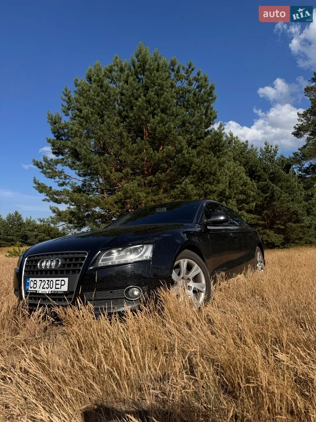 2011 Audi A5 - фото 1